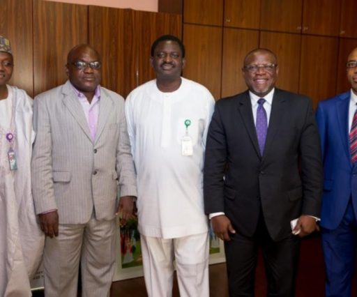 Exco Courtesy Visit to Aso Villa